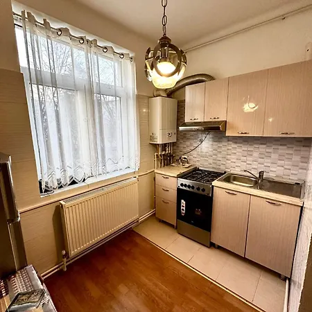 Garsoniera Ultracentral Apartment Bacau Exterior photo